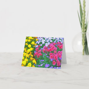 Tarjeta "Masa de flores de colores: amarillo;azul;rosa y v