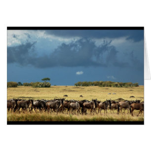 Tarjeta Masai Mara Kenya Blue Wildebeest (GNU)