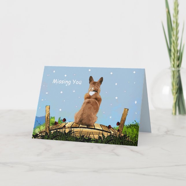 Tarjeta Mascota Compasión por la pérdida (Anverso)