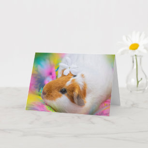 Tarjeta Mascota de cerdo guineano