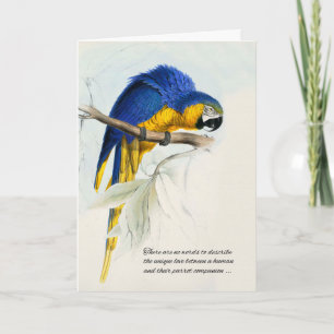 Tarjeta Mascota de pájaro Simpatía Loro de Macao azul y or