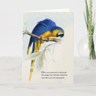 Tarjeta Mascota de pájaro Simpatía Loro de Macao azul y or