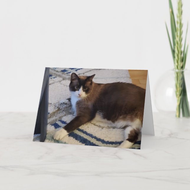 Tarjeta Mascota del gato felino (Anverso)