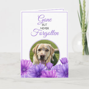 Tarjeta Mascota floral púrpura moderno Loss Photo Sympathy