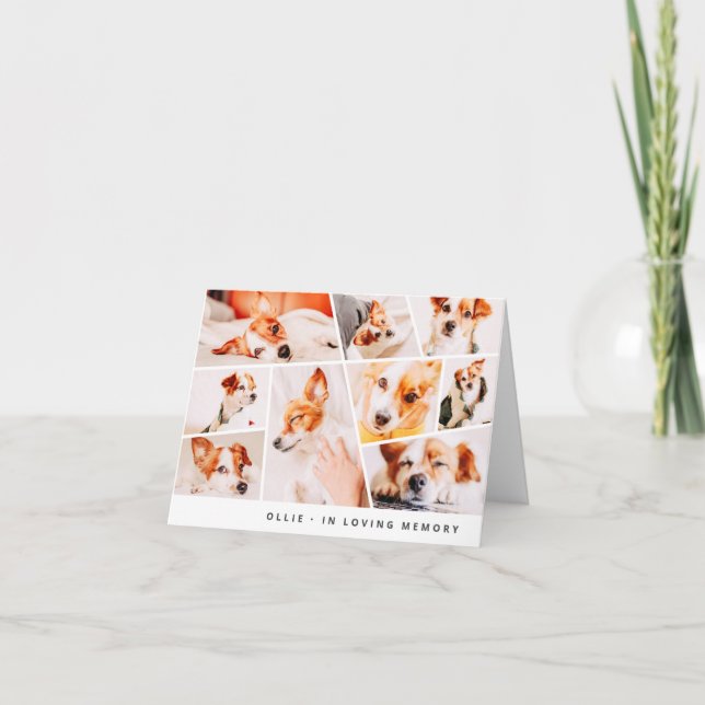 Tarjeta Mascota Memorial Moderno Moda Simple 9 Fotos Colla (Anverso)