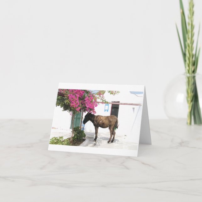 Tarjeta ¡mascota Opa del burro de GreekIslandHouse.com! (Anverso)