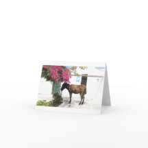 ¡mascota Opa del burro de GreekIslandHouse.com!