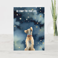 Mascota Pérdida Perro Mirando Las Estrellas