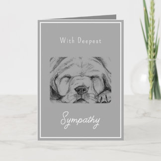 Tarjeta Mascota Pérdida Sinfonía Perro Gris Mano Derrada