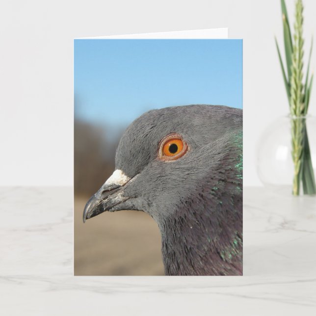 Tarjeta Mascota Pigeon (Anverso)