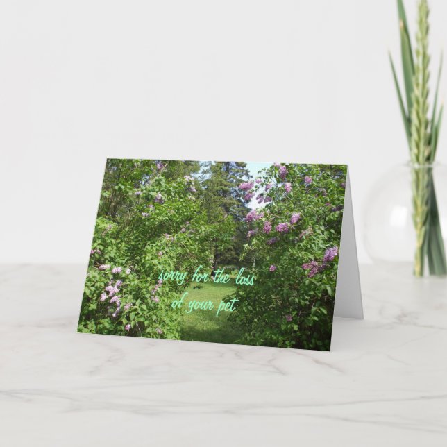 Tarjeta Mascota Sympathy-lilac Bush (Anverso)
