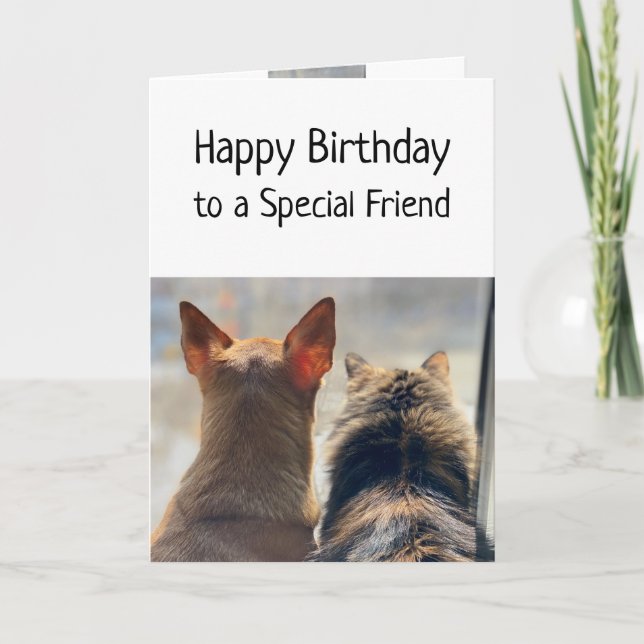 Tarjeta Mascotas de animales especiales Amigo Especial (Anverso)