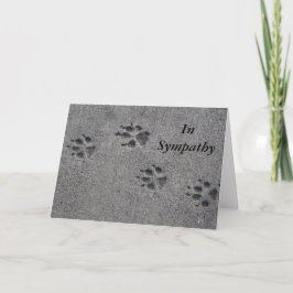 Tarjeta Mascotas en cemento - Siempre ahí