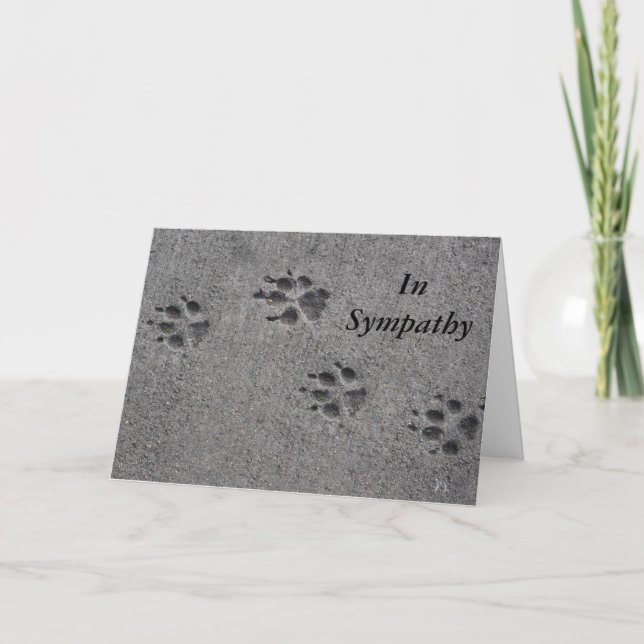Tarjeta Mascotas en cemento - Siempre ahí (Anverso)