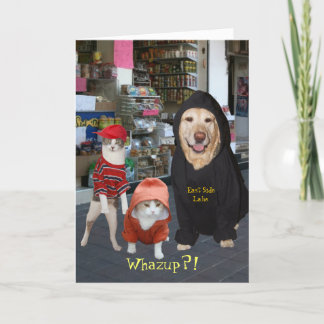 Tarjeta Mascotas/gatos/cumpleaños divertidos adaptables de