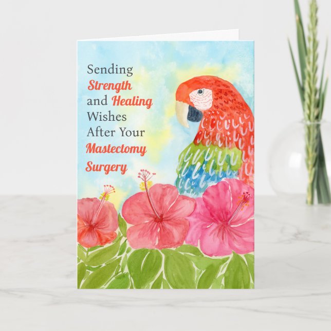 Tarjeta Mastectomy Healing Scarlet Macaws, Hibiscus (Anverso)