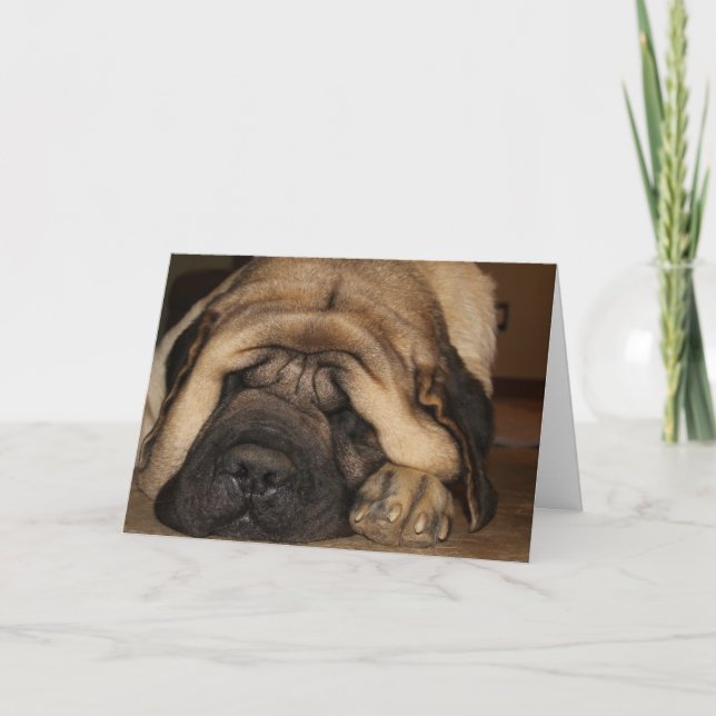 Tarjeta mastiff, gigante dormido, esperando la torta (Anverso)