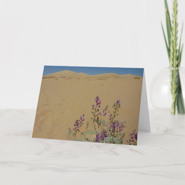 Tarjeta Mato de Índigo de Mojave y Dunas de Kelso (Anverso)