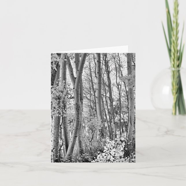 Tarjeta Matorral (Anverso)