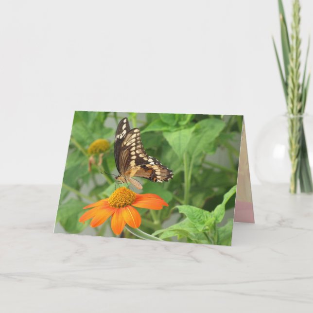 Tarjeta Matrimonio - tan bello como la mariposa (a) (Anverso)
