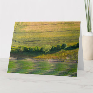 Tarjeta Matriz de patrones de explotaciones agrícolas en i