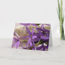 Tarjeta Mauve Starshine Laurentia