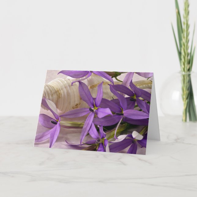 Tarjeta Mauve Starshine Laurentia (Anverso)