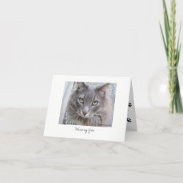 Tarjeta Max el gato #5