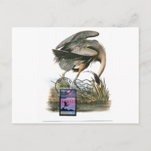 Tarjeta máxima Audubon de la garza azul grande