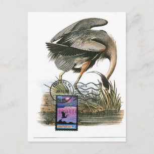 Tarjeta máxima Audubon de la garza azul grande