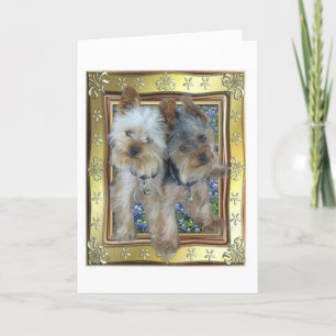 Tarjeta máxima y de Zach