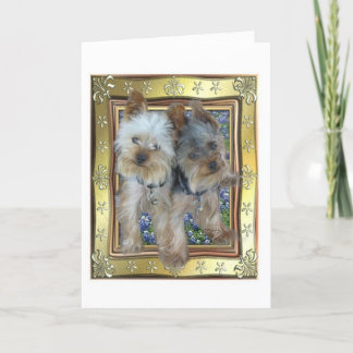 Tarjeta máxima y de Zach