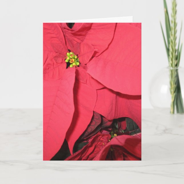Tarjeta May Holy Angels (Anverso)