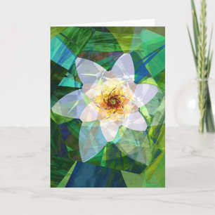 Tarjeta Mayflower