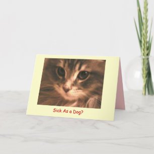 Tarjeta Maynard el Maine Coon2, enfermo como… - Modificado