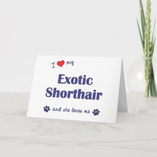 Tarjeta Me Encanta Mi Corto Exótico (Gato Femenino)