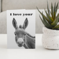 Me Encanta Tu Burro Gracioso
