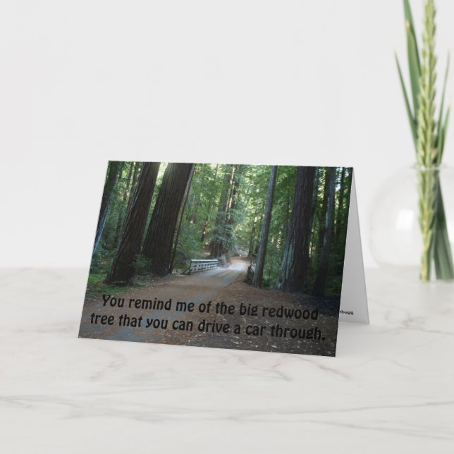Tarjeta Me recuerdas al gran árbol de secuoya (Anverso)