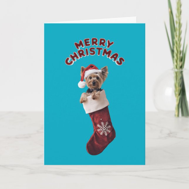 Tarjeta Medias de Navidad de adorable Yorkie (Anverso)
