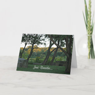 Tarjeta Meditación en el prado