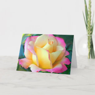 Tarjeta Meditación En Un Rosa