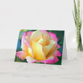 Tarjeta Meditación En Un Rosa