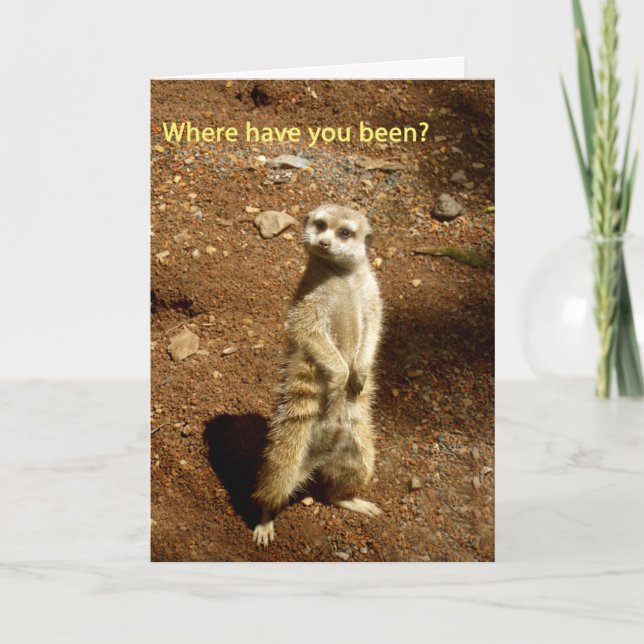 Tarjeta meerkat (Anverso)