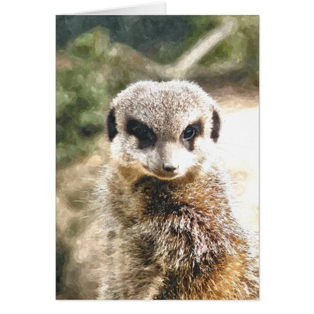 Tarjeta MEERKAT (Frente)