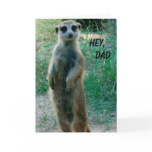 Meerkat Feliz Día del Padre