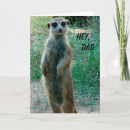 Tarjeta Meerkat Feliz Día del Padre