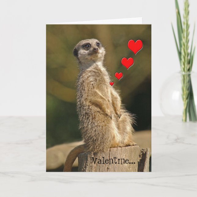 Tarjeta Meerkat Valentine 007 (Anverso)