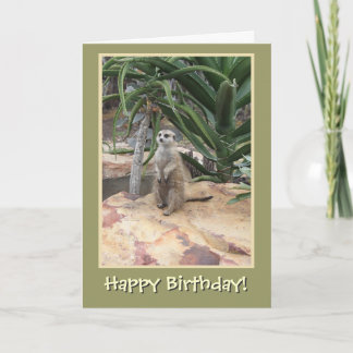 Tarjeta Meerkat y cumpleaños feliz