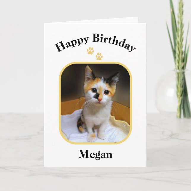 Tarjeta Megan Calico Kitten Happy Birday (Anverso)
