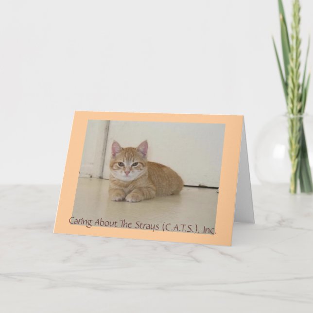 Tarjeta Meggie Notecards (Anverso)